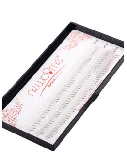 F-03 3D Fan eyelash extension